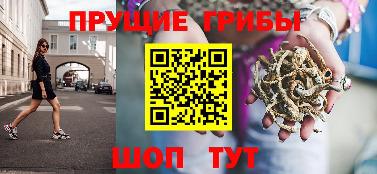 Губаха  Галлюциногенные грибы Psilocybine cubensis  Вход с VPN 