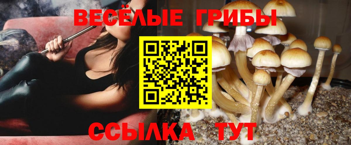 Псилоцибиновые грибы Magic Shrooms Губаха
